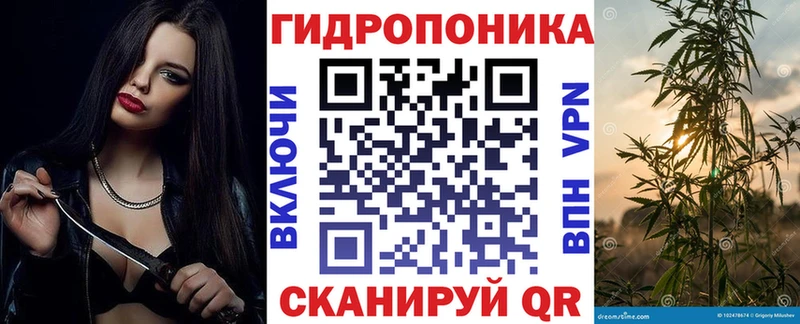 как найти закладки Аксай Каннабис Ganja